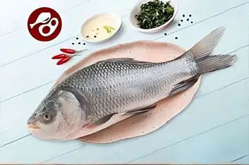 Buy fresh katla fish free home delivery