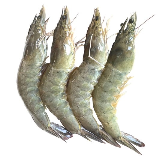 Buy fresh Tiger/vannamie Jumbo Prawns 20count at Rs.450/- gross weight 500gms, Net weight 275gms.