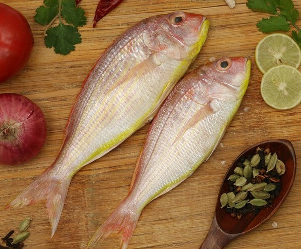 Buy fresh sankara rani fish online